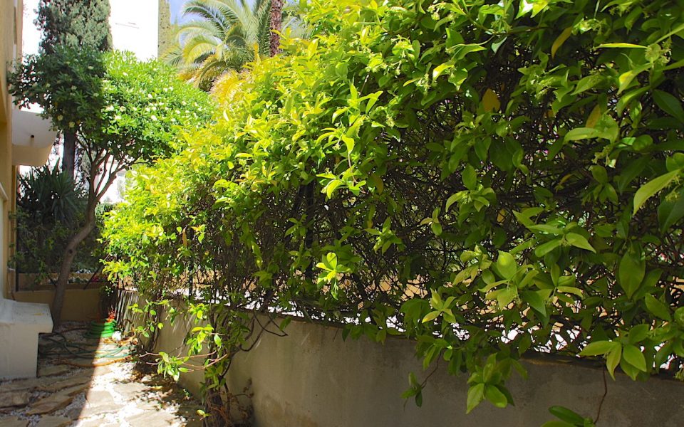 Nice Arènes de Cimiez – Studio 28 m2 en rez de jardin à louer