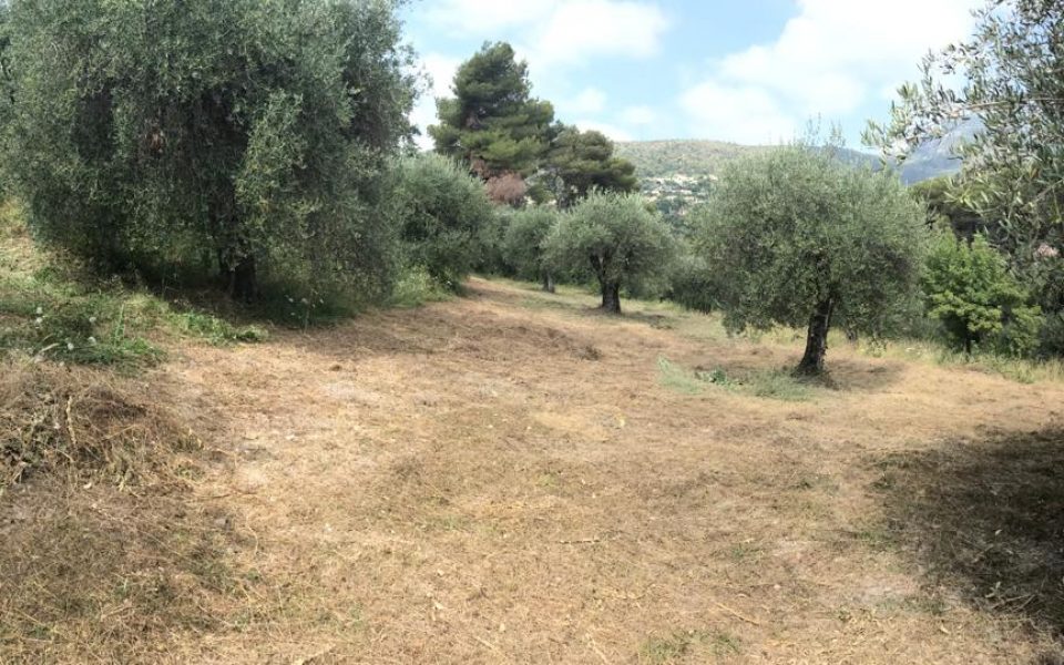 Nice Rimiez – Beau Terrain 3900 m² avec jolie vue proche Centre