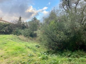 Nice Cimiez – Land for the Construction of a House of 250 sqm