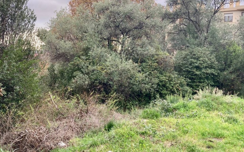 Nice Cimiez – Terreno edificabile per la realizzazione di una casa di 250 M2