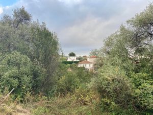 Nice Cimiez – Terreno edificabile per la realizzazione di una casa di 250 M2