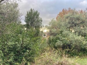Nice Cimiez – Land for the construction of a house of 250 M2