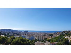 Nice Le Ray – Beautiful 3 Bedroom With Sunny Terrace in Residence With Pool