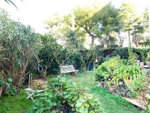 Nice Cimiez – Proche Conservatoire 2/3 pièces sur jardin