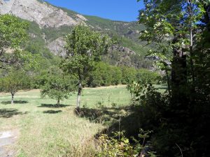 Colmars les Alpes – House 7 Bedrooms With Land And Outbuildings