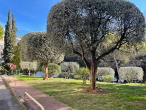 Nizza Cimiez – Molto bello 2 camere rinnovate 51m2 nel parco