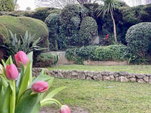 Nizza Cimiez – Grazioso trilocale con giardino nel cuore di Cimiez