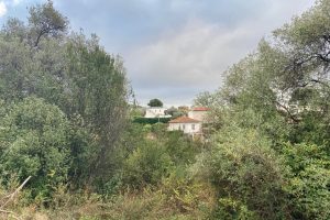 NICE Cimiez – Terreno edificabile