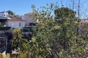 NICE Cimiez – Terreno edificabile