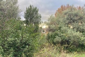 NICE Cimiez – Terreno edificabile