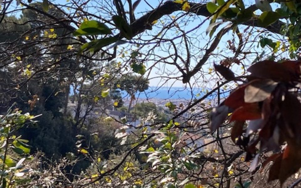 NICE Cimiez – Terreno edificabile