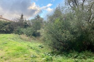NICE Cimiez – Terreno edificabile