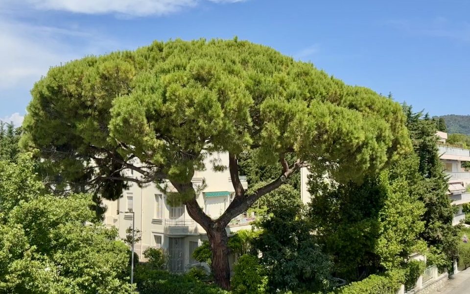 Deuxième et dernier étage d’une petite maison à rénover située au coeur de Cimiez