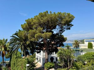 Nice Mont Boron – Superbe vue Mer