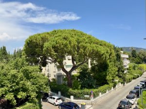 Deuxième et dernier étage d’une petite maison à rénover située au coeur de Cimiez