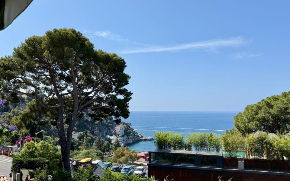 Nice Mont Boron – 3 pièces refait à neuf avec Vue Mer
