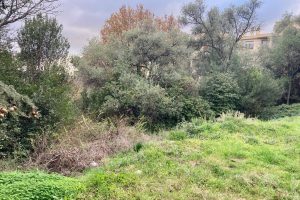 NICE Cimiez – Building land