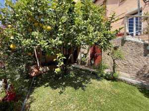 Charming House with Sea View in Nice East.