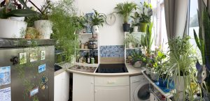 Nice – Cimiez Charming One Bedroom Apartment 44 sqm Ground Floor