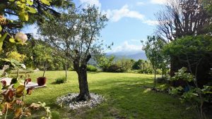 Nice Cimiez – Une vie comme dans une maison !